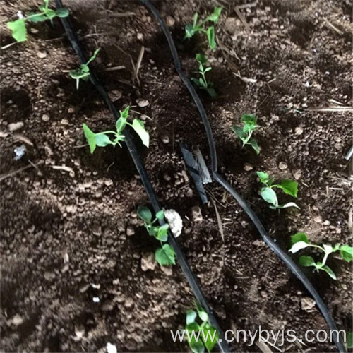 Vegetable Greenhouse Drip Irrigation Zone